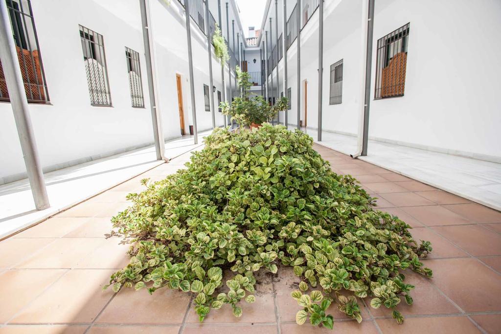 La Casa De Artista, Zona Museo Leilighet Sevilla Eksteriør bilde